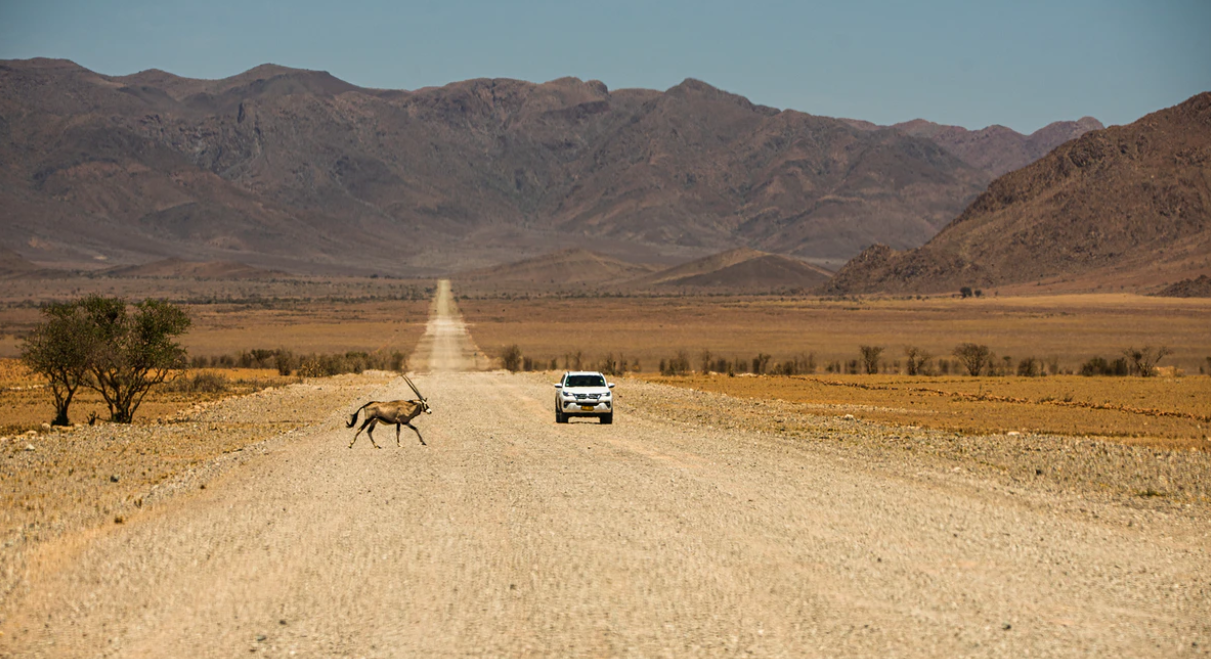 Wyprawa samotnego wilka - Namibia
